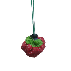 Strawberry bag