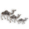 Camel Set of 3
