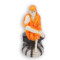 Sai baba